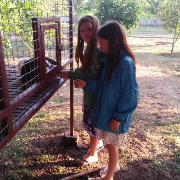 WhatsApp Image 2025-04-29 at 14.49.07 (1)