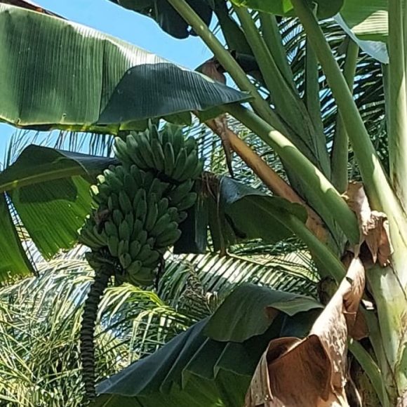 WhatsApp Image 2025-05-16 at 15.10.05