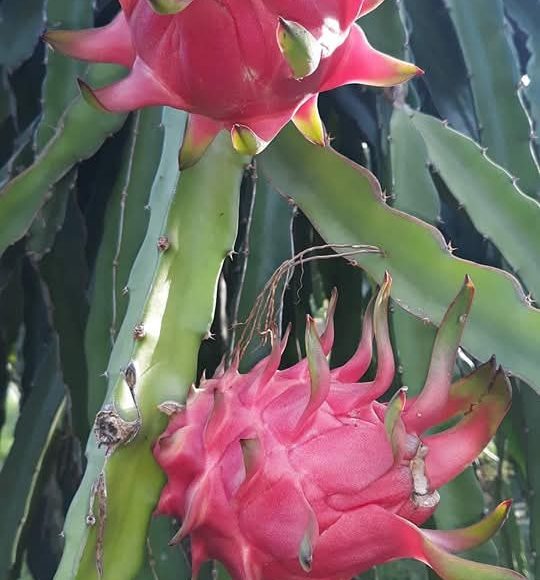 WhatsApp Image 2025-05-16 at 15.10.06 (1)