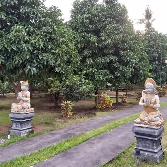 WhatsApp Image 2025-05-16 at 15.10.06 (2)