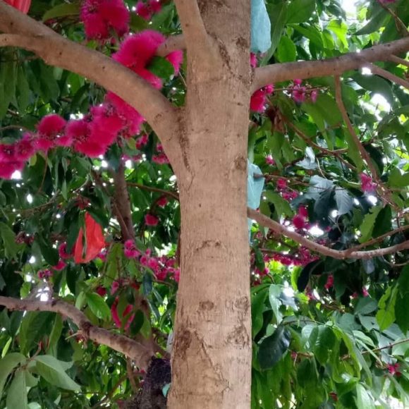 WhatsApp Image 2025-05-16 at 15.10.06 (3)