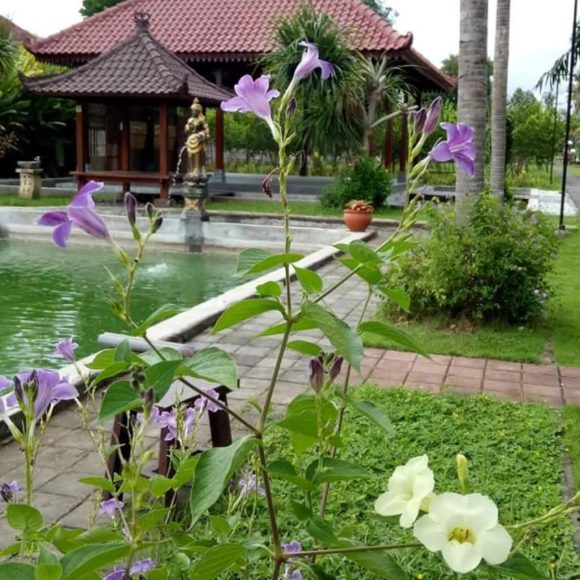 WhatsApp Image 2025-05-16 at 15.10.06 (4)