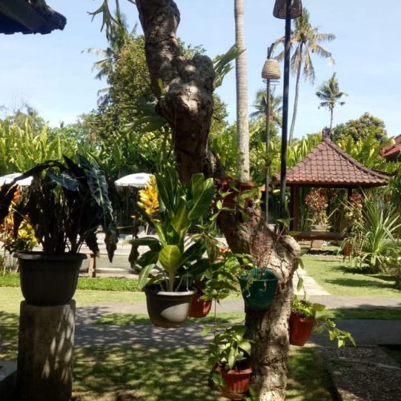 WhatsApp Image 2025-05-16 at 15.10.06