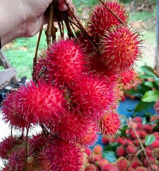 WhatsApp Image 2025-05-16 at 15.10.07 (1)