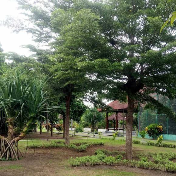 WhatsApp Image 2025-05-16 at 15.10.07 (3)