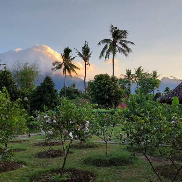 WhatsApp Image 2025-05-16 at 15.10.08 (1)