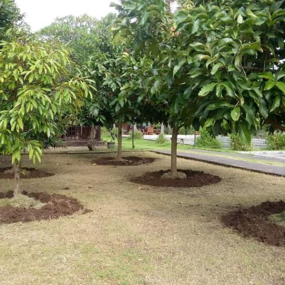 WhatsApp Image 2025-05-16 at 15.10.08 (2)