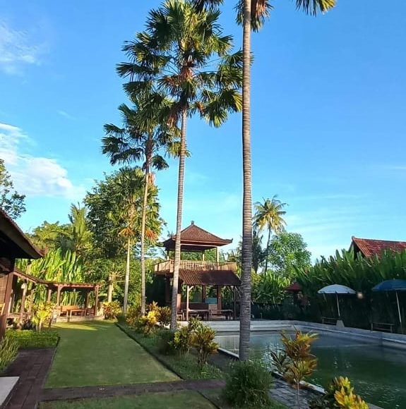 WhatsApp Image 2025-05-16 at 15.10.08 (3)