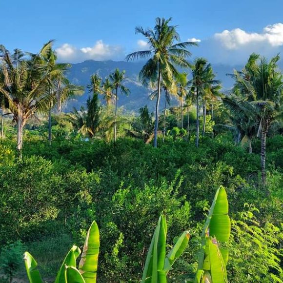 WhatsApp Image 2025-05-16 at 15.10.08