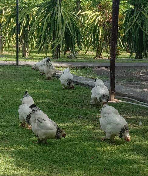 WhatsApp Image 2025-05-16 at 15.10.09 (1)