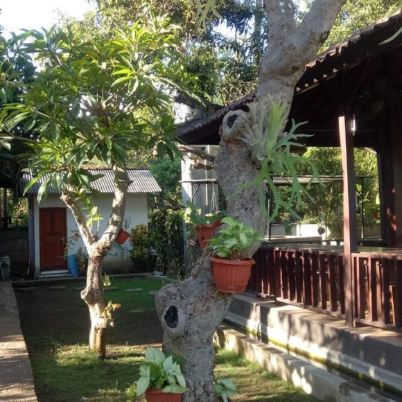 WhatsApp Image 2025-05-16 at 15.10.09 (2)