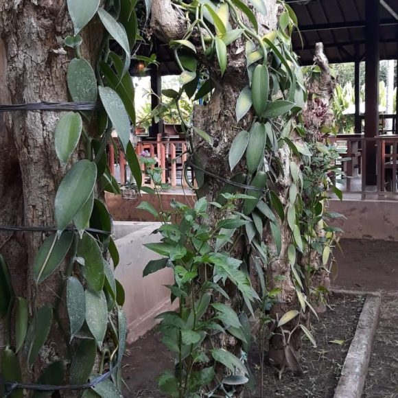 WhatsApp Image 2025-05-16 at 15.10.09 (3)