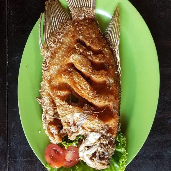 WhatsApp Image 2025-05-23 at 11.22.22 (1)