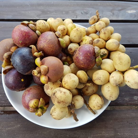 WhatsApp Image 2025-05-23 at 11.27.22