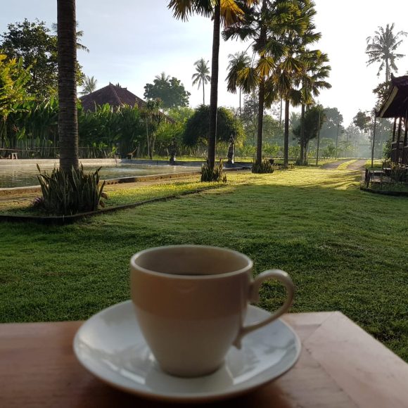 WhatsApp Image 2025-05-23 at 11.27.24