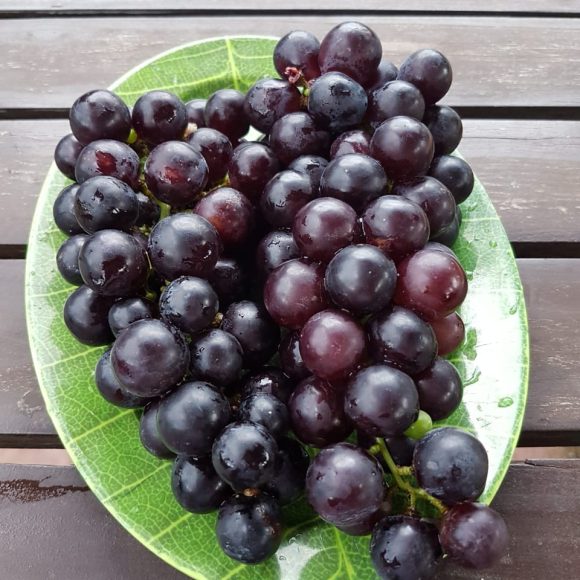 WhatsApp Image 2025-05-23 at 11.27.26