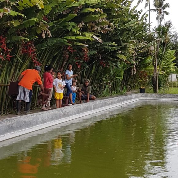 WhatsApp Image 2025-05-23 at 12.26.38