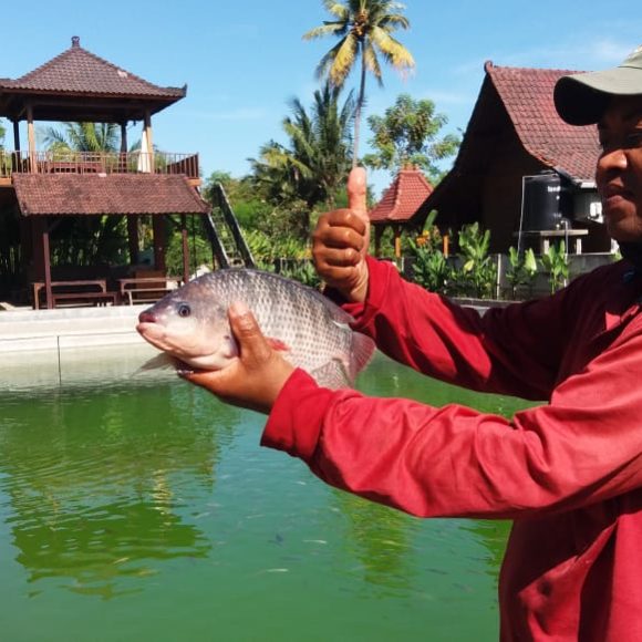 WhatsApp Image 2025-05-23 at 12.27.22 (1)