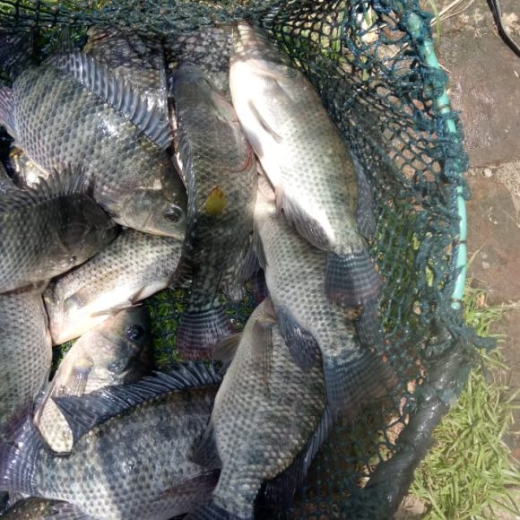 WhatsApp Image 2025-05-23 at 12.27.22