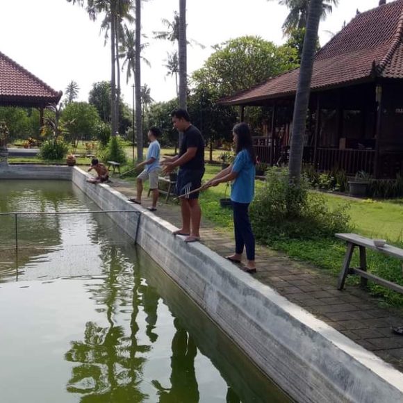 WhatsApp Image 2025-05-23 at 12.28.20 (1)