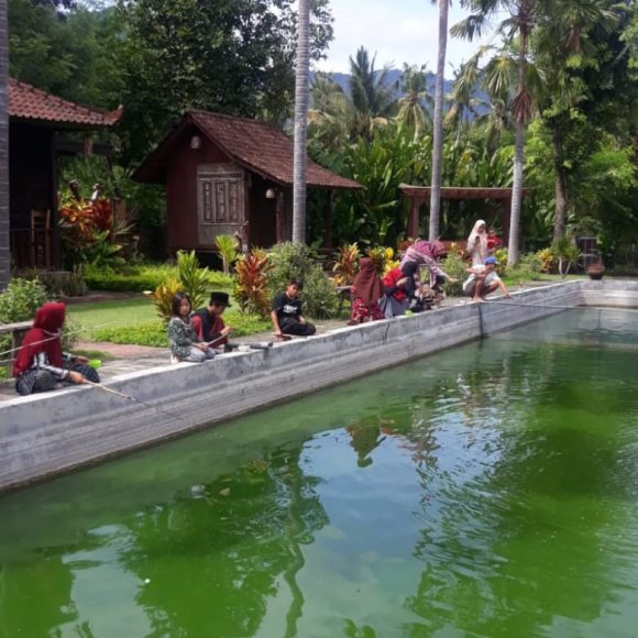 WhatsApp Image 2025-05-23 at 12.28.35