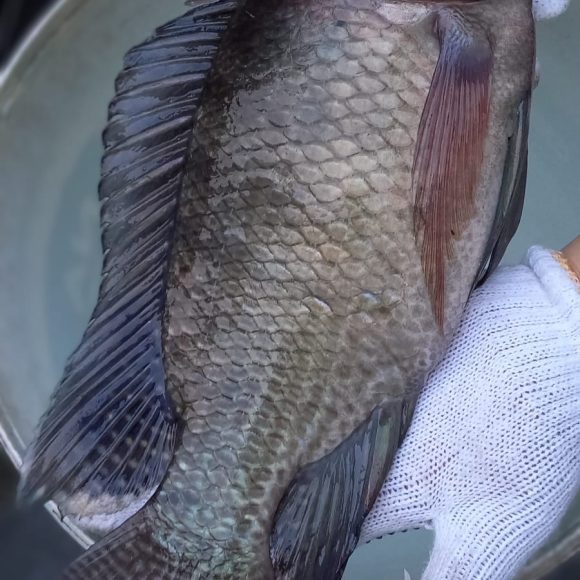 WhatsApp Image 2025-05-23 at 12.30.09