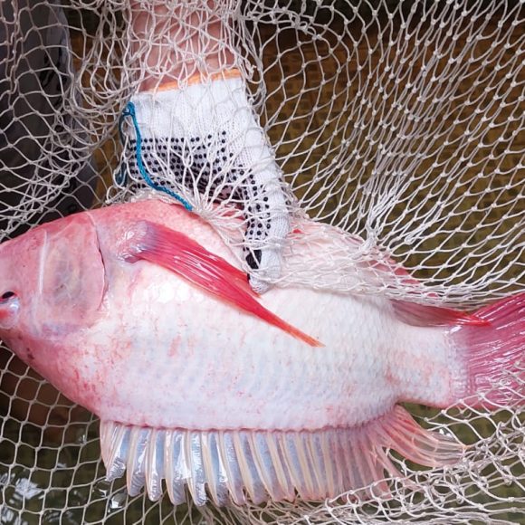 WhatsApp Image 2025-05-23 at 12.30.16