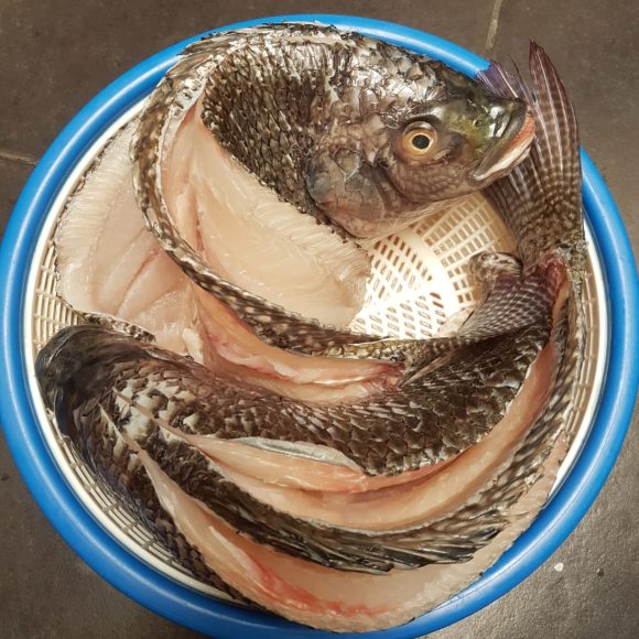 WhatsApp Image 2025-05-23 at 12.30.17 (2)