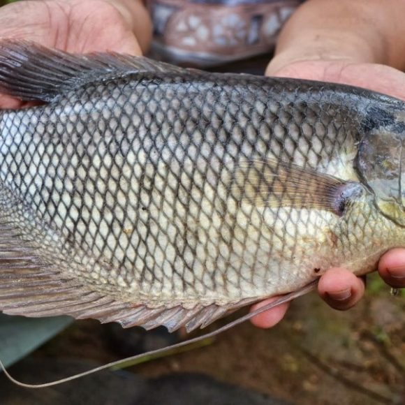 WhatsApp Image 2025-05-23 at 12.30.26