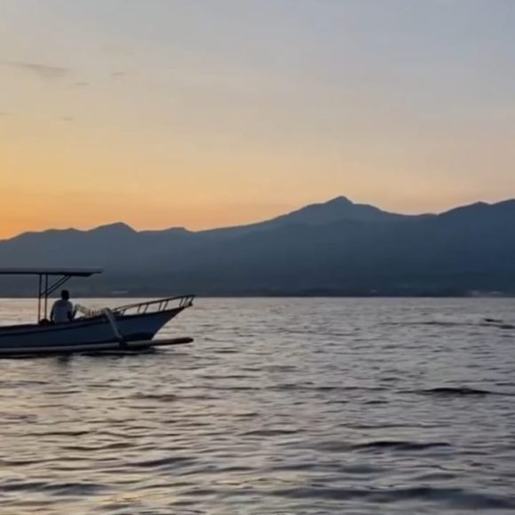 WhatsApp Image 2025-05-27 at 13.39.02