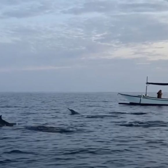 WhatsApp Image 2025-05-27 at 13.39.03