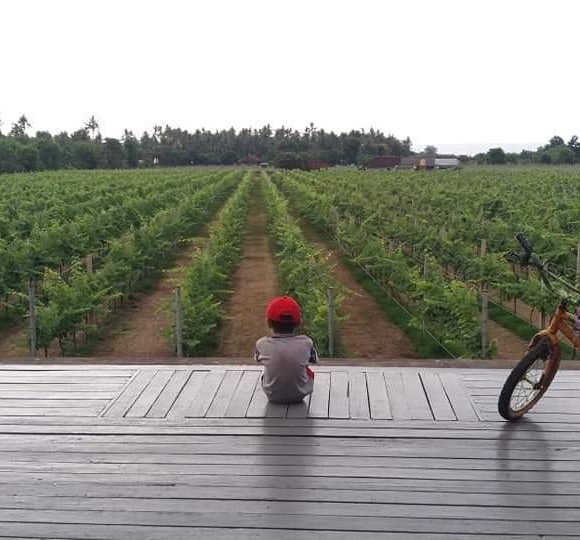 WhatsApp Image 2025-05-27 at 13.39.04