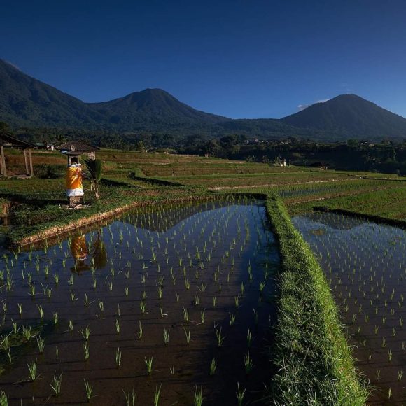 WhatsApp Image 2025-05-27 at 13.39.05 (2)