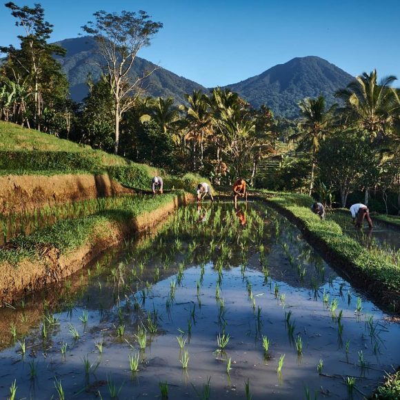 WhatsApp Image 2025-05-27 at 13.39.06