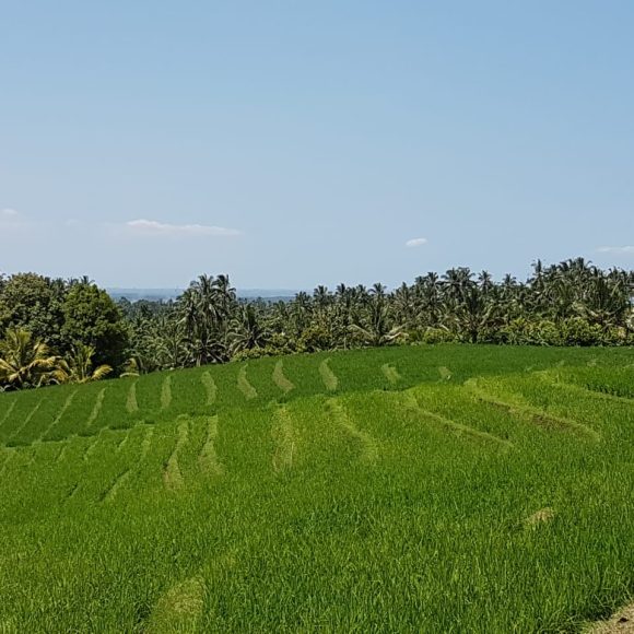 WhatsApp Image 2025-05-27 at 13.39.07 (1)