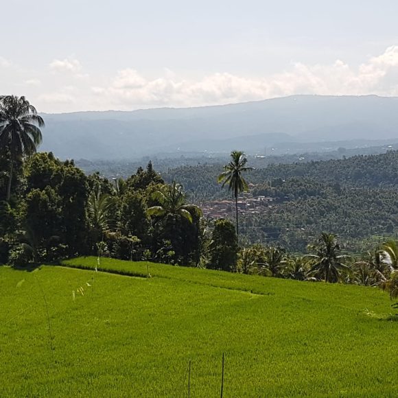 WhatsApp Image 2025-05-27 at 13.39.07