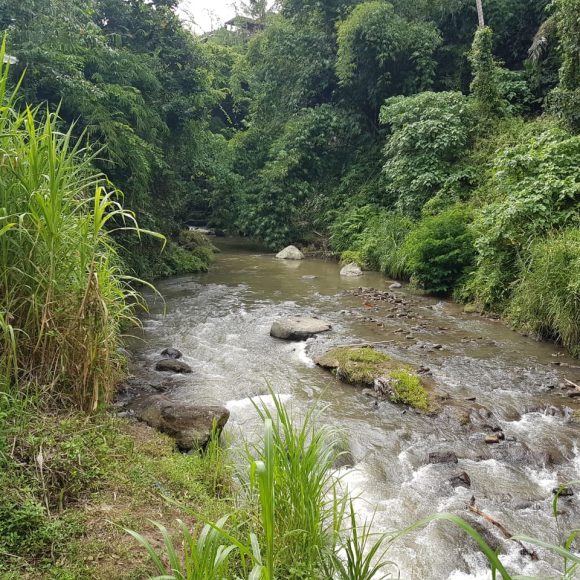 WhatsApp Image 2025-05-27 at 13.39.08 (1)