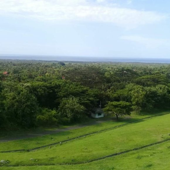 WhatsApp Image 2025-05-27 at 16.36.13 (1)