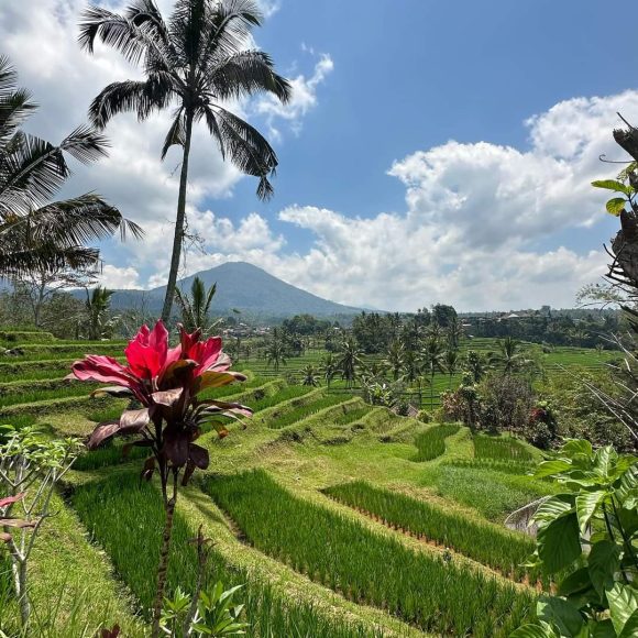 WhatsApp Image 2025-05-27 at 16.36.13