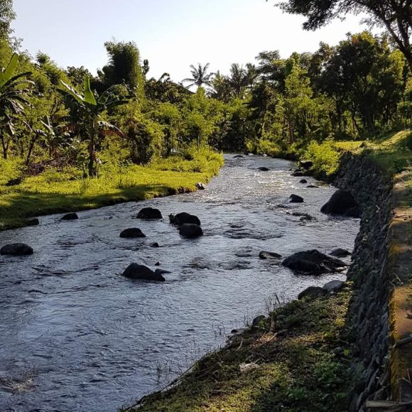 WhatsApp Image 2025-05-27 at 16.36.14 (1)