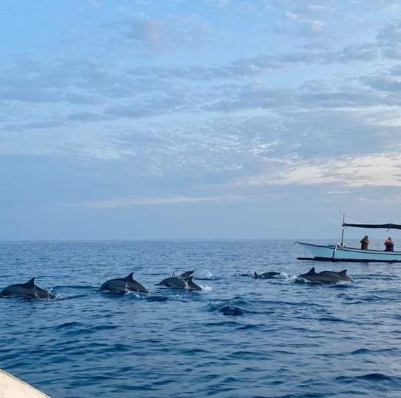 WhatsApp Image 2025-05-27 at 16.36.15 (2)