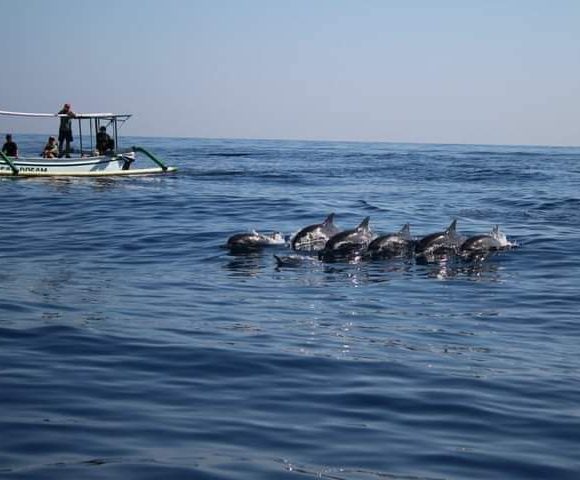 WhatsApp Image 2025-05-27 at 16.36.16